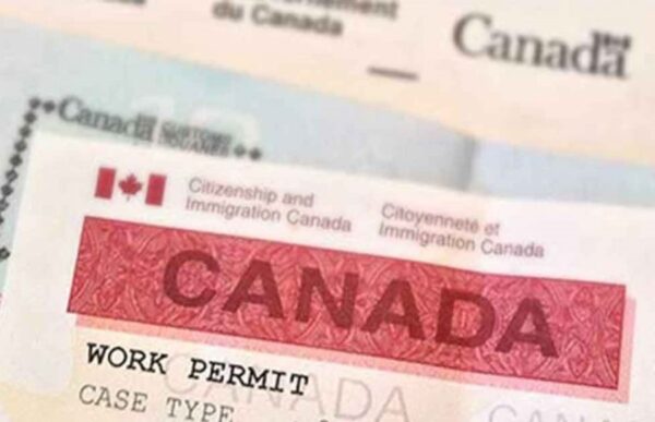 Các loại work permit du học sinh Canada