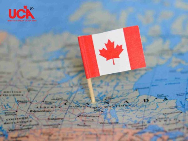 Cấu trúc hành chính của Canada