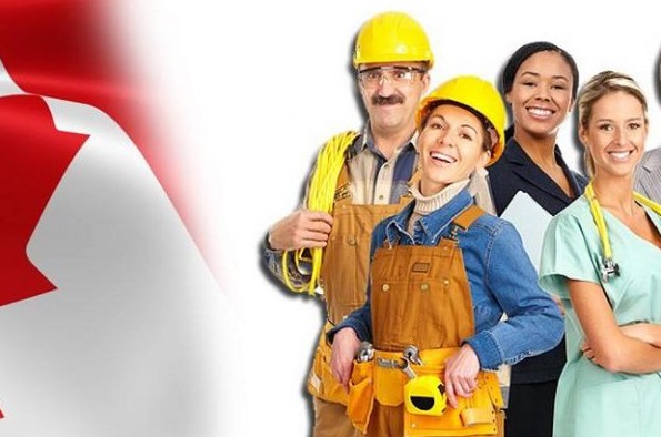 các ngành nghề cho phép xuất khẩu lao động Canada