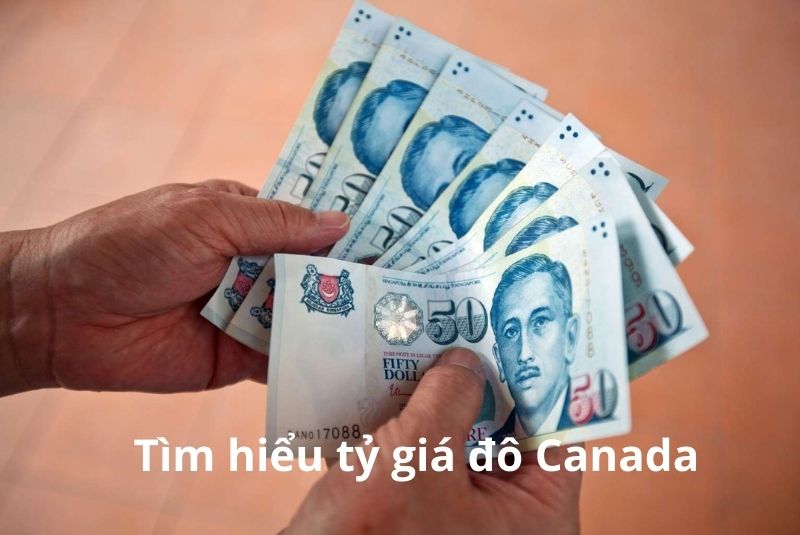 Tỷ giá đô Canada: Bạn đang muốn biết giá trị của đồng đô Canada so với đồng tiền của các nước khác? Hãy xem hình liên quan đến tỷ giá đô Canada của chúng tôi để có cái nhìn sâu hơn về thị trường tài chính quốc tế.