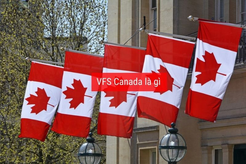 VFS có các văn phòng tại Việt Nam không và địa chỉ của chúng nằm ở đâu?