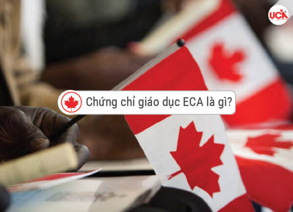 chứng chỉ giáo dục ECA là gì