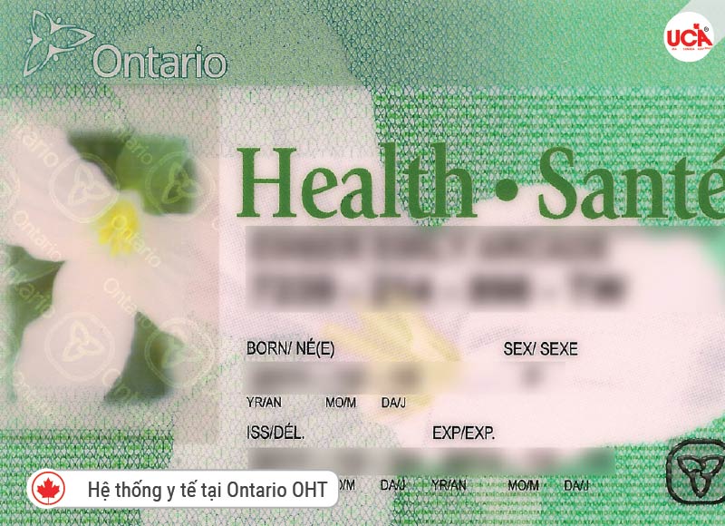 Hệ thống y tế tại Ontario OHT