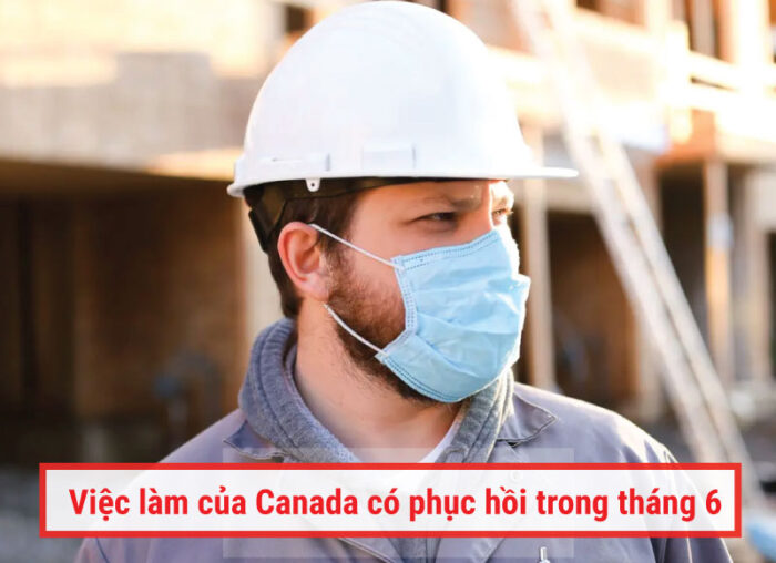 việc làm của Canada có phục hồi trong tháng 6