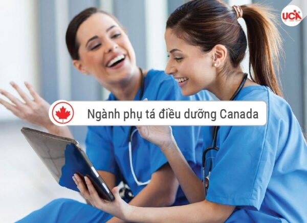 Ngành phụ tá điều dưỡng Canada