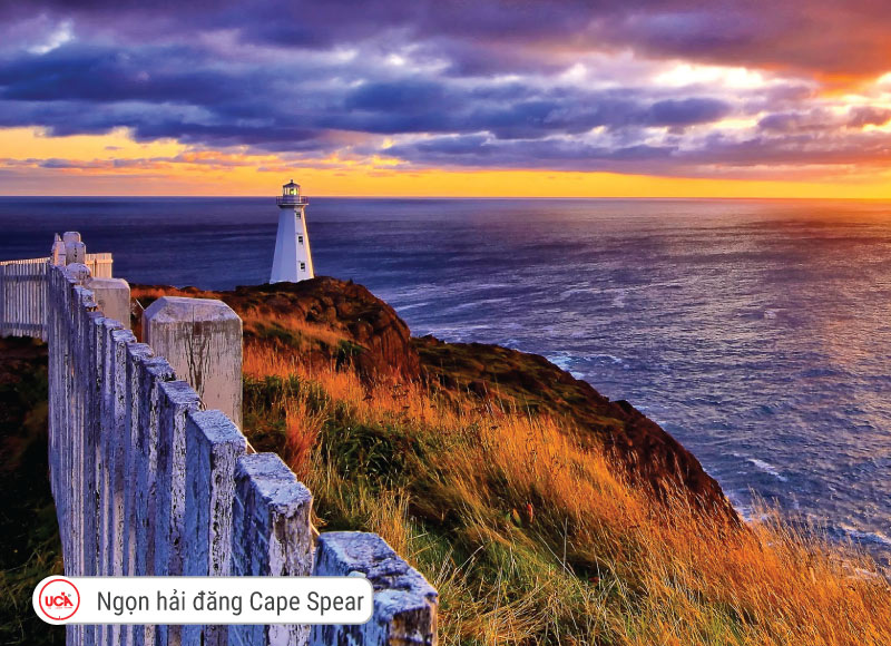 Ngọn hải đăng Cape Spear