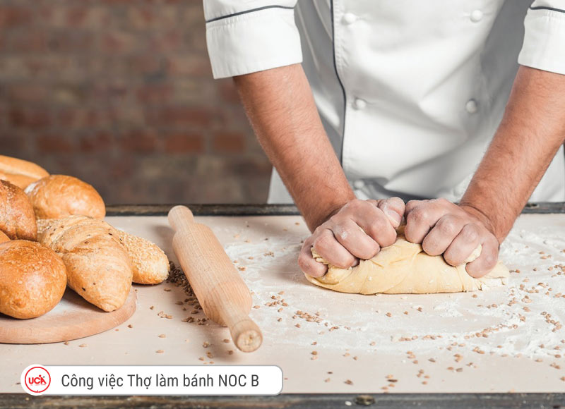 Công việc thợ làm bánh với NOC B