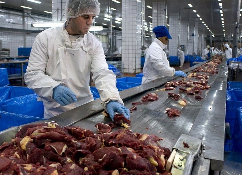 Cơ hội làm việc và sinh sống lâu dài tại Canada cho công nhân chế biến thịt