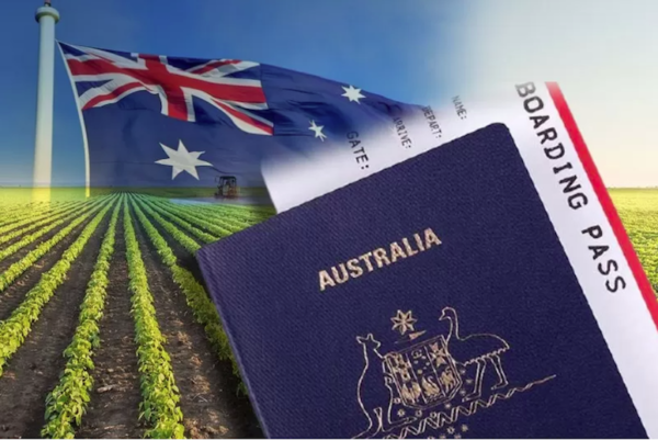 Visa 403 Úc