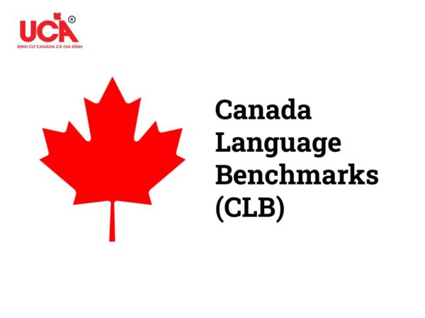 giải pháp định cư Canada không cần IELTS