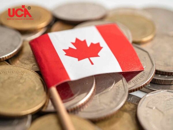 Quy trình chứng minh tài chính khi định cư Canada