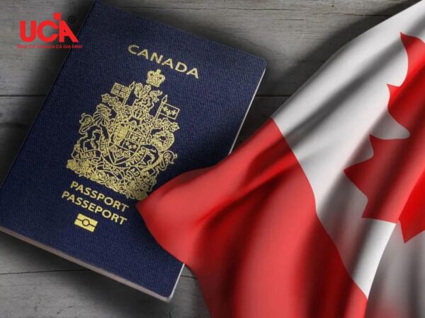 điều kiện chương trình startup visa canada