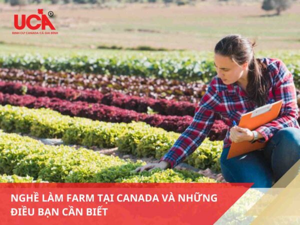 Làm farm ở Canada