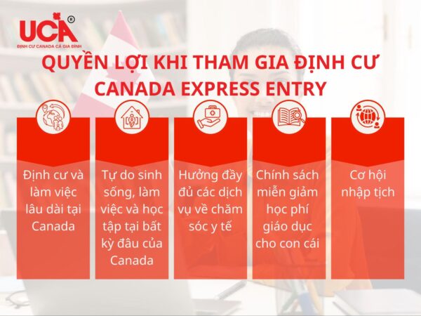 quyền lợi khi tham gia Express Entry