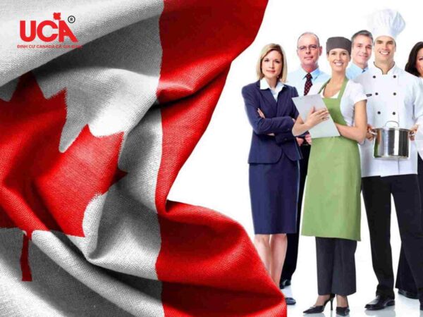 Chuẩn bị công việc tại Canada