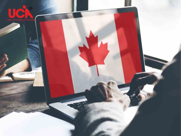 Chuẩn bị đơn xin việc ở Canada 