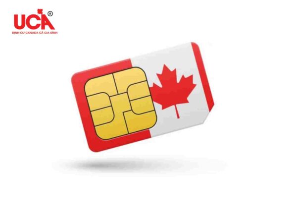 Đăng ký mạng và Internet tại Canada