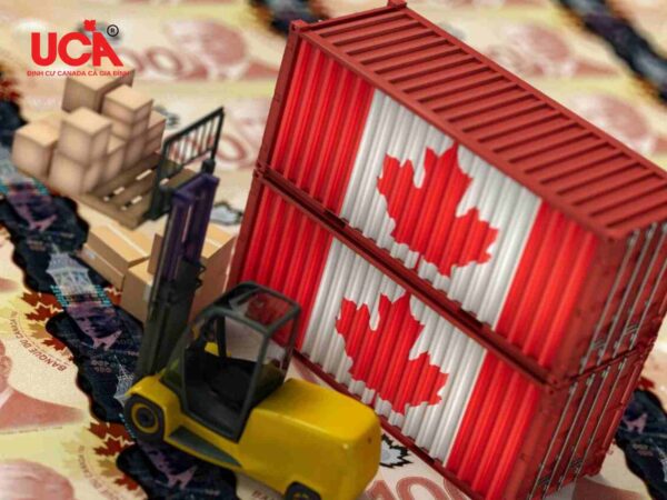 Mặt hàng xuất khẩu chính của Canada