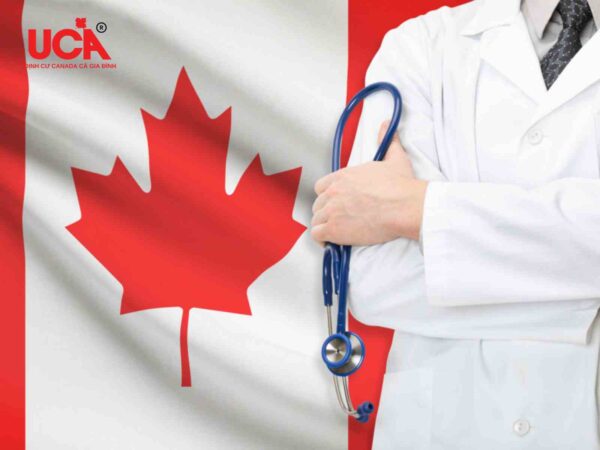 Ngành nghề có tốc độ tăng trưởng mạnh nhất tại Canada