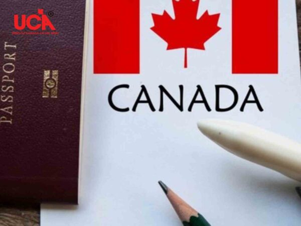 Tổng hợp các chương trình định cư Canada phổ biến