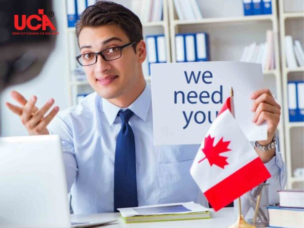 Xây dựng networking tại Canada