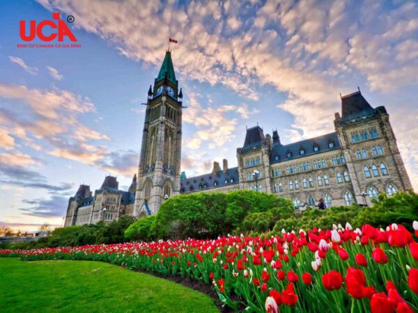 hệ thống chính trị Canada