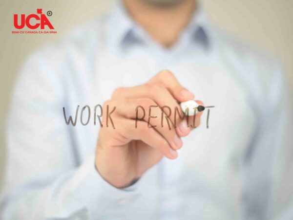 Open Work Permit