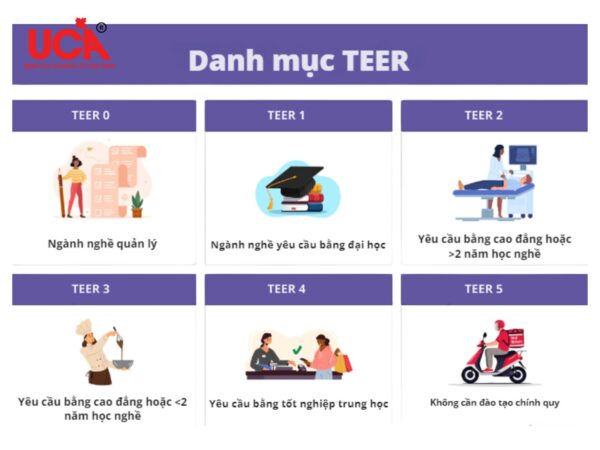 Phân loại các danh mục TEER