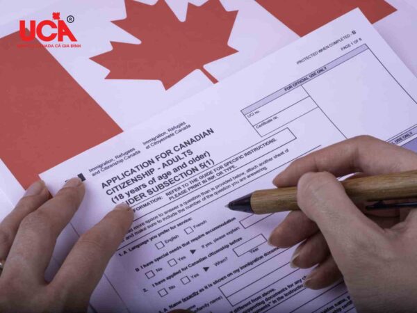 Quy trình lấy quốc tịch Canada