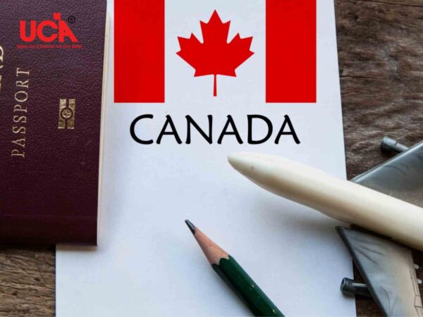 Quy trình nhập quốc tịch Canada