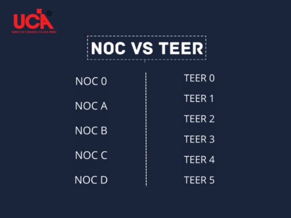 Sự khác biệt giữa NOC và TEER