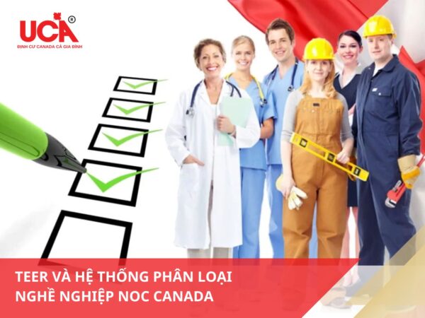 Tìm hiểu TEER là gì và hệ thống phân loại nghề nghiệp NOC Canada