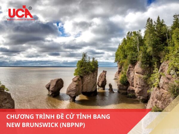 Chương trình đề cử tỉnh bang New Brunswick (NBPNP)